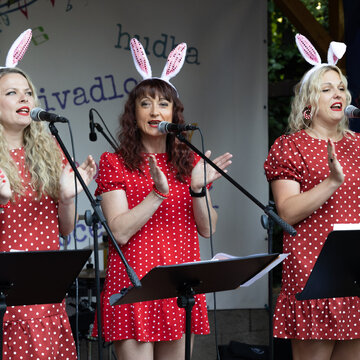 Festival 'Doma na zahradě 2025'