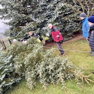 Galerie: Vánoční strom 2025