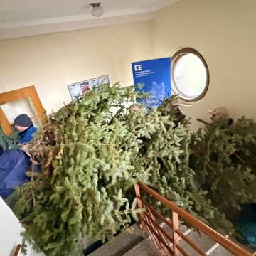 Galerie: Vánoční strom 2025