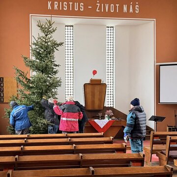 Galerie: Vánoční strom 2025