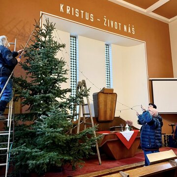 Galerie: Vánoční strom 2025